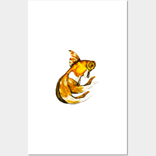 The Veil-Tail; Goldfish Posters and Art